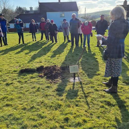 Photo Gallery Image - Attendees at the tree planting