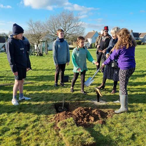 Photo Gallery Image - Young people help with planting