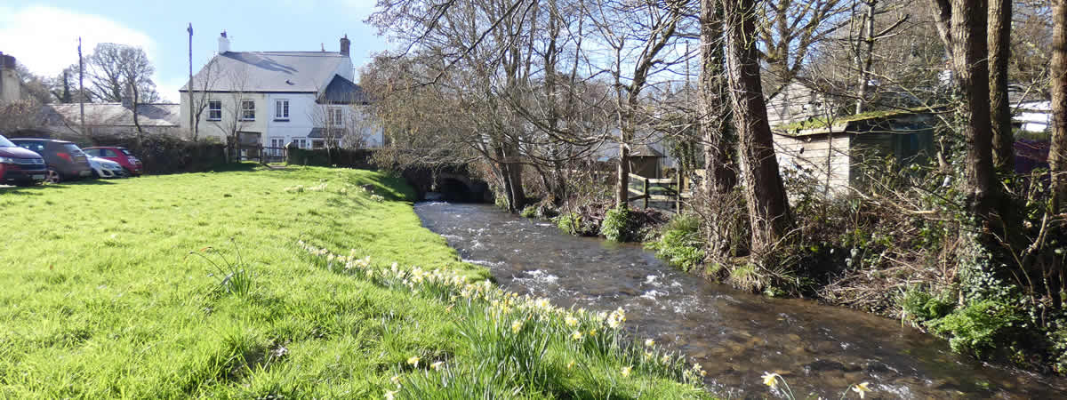 Image 04
