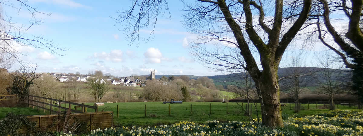 Image 03